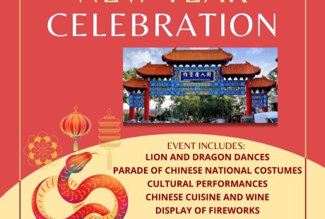 2025约堡唐人街喜迎新春,舞龙舞狮贺蛇年。 2025约堡唐人街喜迎新春,舞龙舞狮贺蛇年。